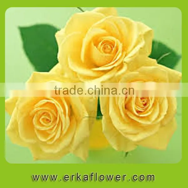 Natural Promotional Preserved Rose Flower for Home Decoration photo-2