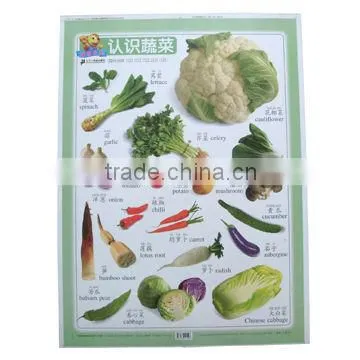 CALENDAR 2013 RIGID PVC SHEET, TRANSPARENT &COLORFUL PVC SHEET photo-2
