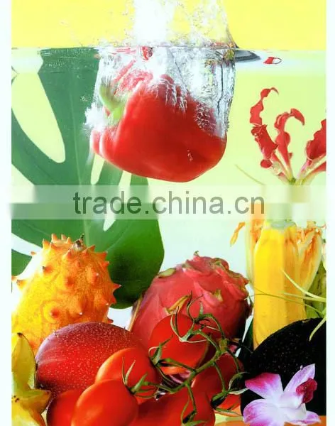M7-X5 1.6m Wallpaper Direct Printing Inkjet Printer With Eco Solvent Ink photo-5