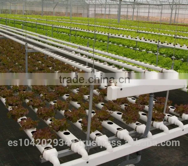 Seedling Planting Machine and Plant Nursery for Hydroponic Systems photo-5