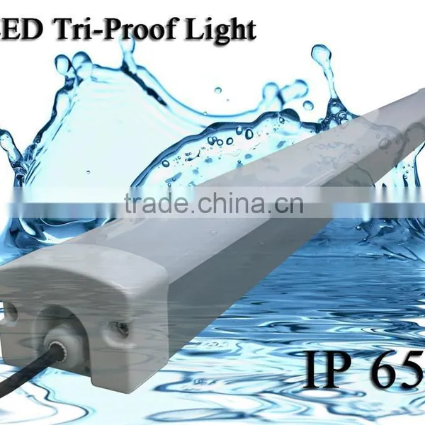 Hot Selling LED Tri-Proof Lighting Fixture Made in China photo-4