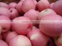 2016 New Fresh Fruits Red Fuji Apples