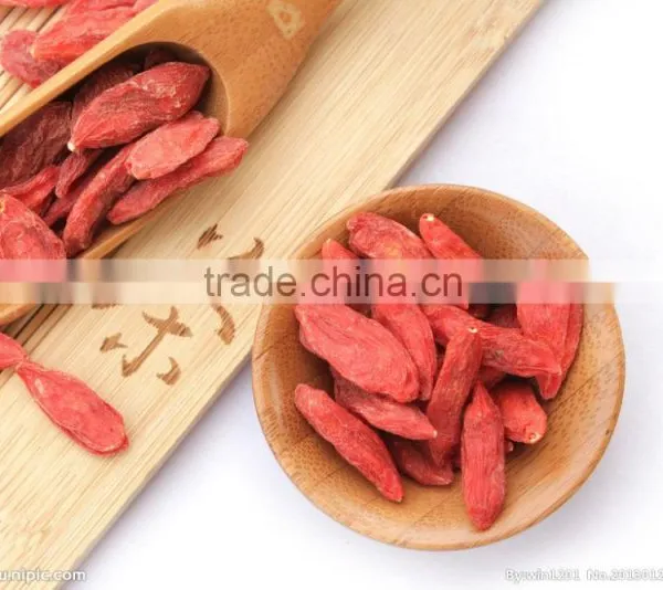 ISO 9001 Goji Berry photo-3