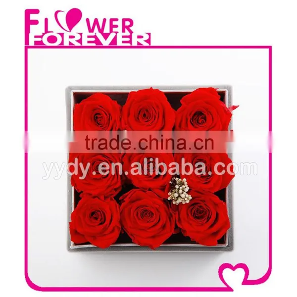 Wholesale Customized Preserved Flower photo-3