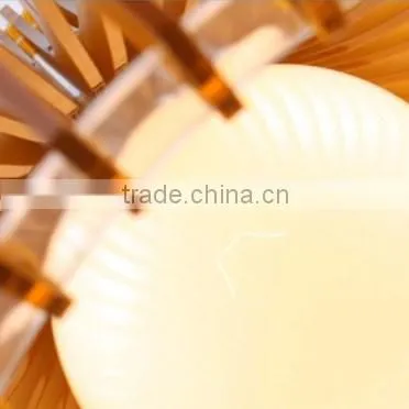 Acrylic Shade Different Color Dark Brown Cheap Pendant Lighting photo-3
