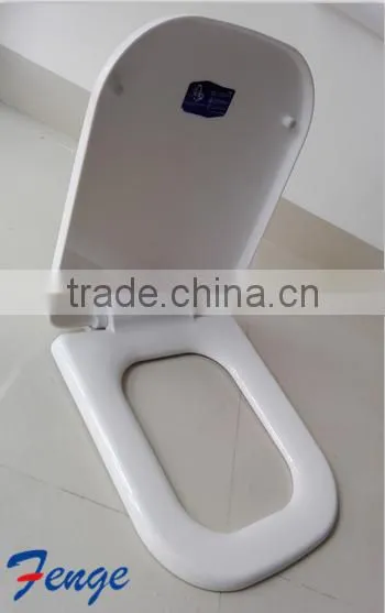 FG750PP-hot Sale Intelligent Toilet Seat With Quick Release Cover uk Style photo-5
