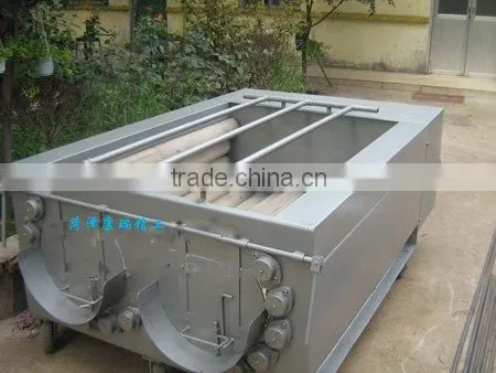 Vegetable Washing Machine