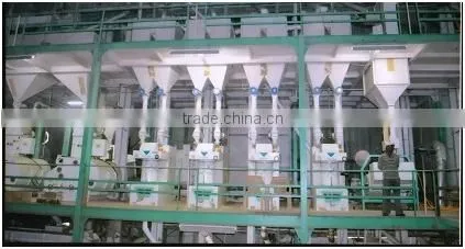 Sugandha Basmati Rice for Gulf Countries photo-3
