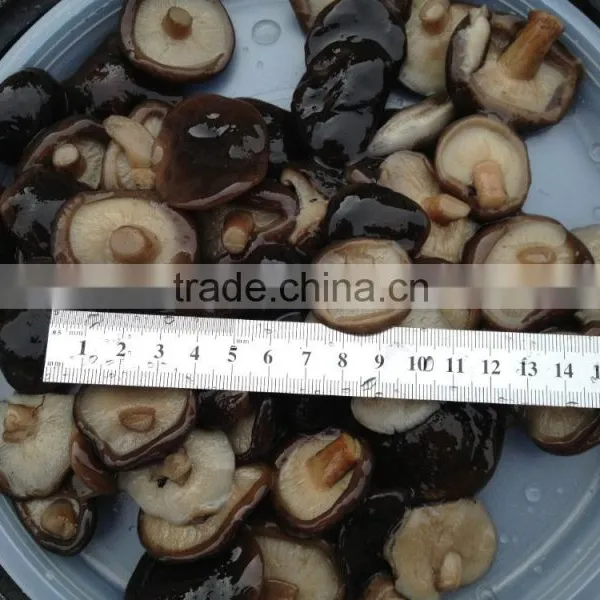 Hot Sales IQF Shiitake Mushroom With Best Price photo-5