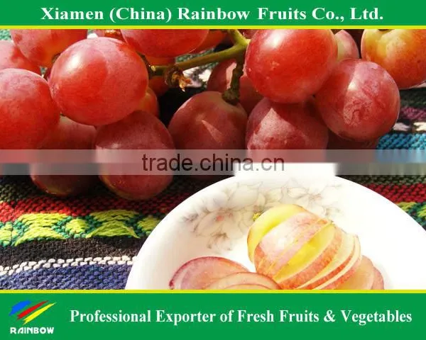 Fresh Red Globe Grape From Yunnan Xinjiang China