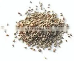 Ajwain Seeds photo-5