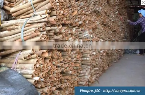 VIETNAM SQUARE CUT CASSIA ( YB1, YB2, YB3, YB4 ) (+841657106604 - WhatsApp) photo-6