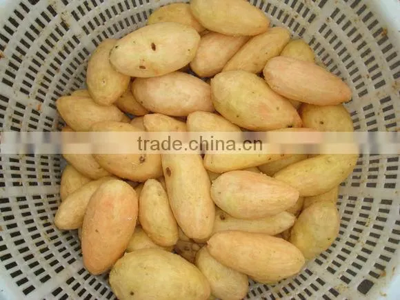 GL-380 Full Automatic Potato Vegetable and Fruit Washing and Peeling Machine photo-4