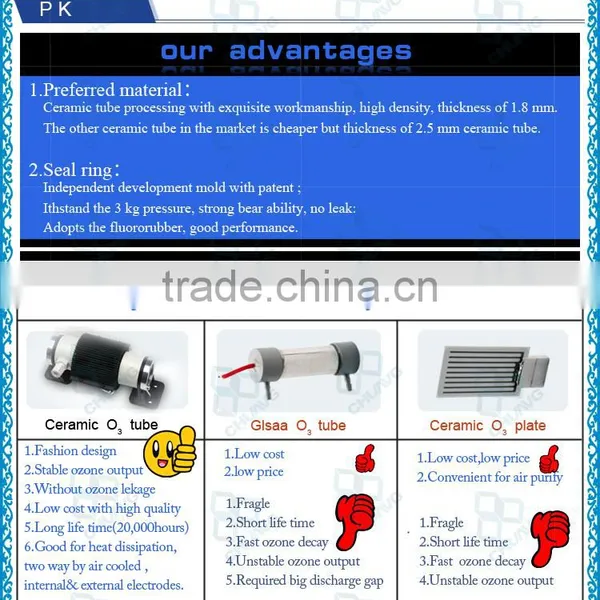 China Factory Price 1g 3g 5g 6g 7g Ozone Tube / Ozone Generator Cell photo-2
