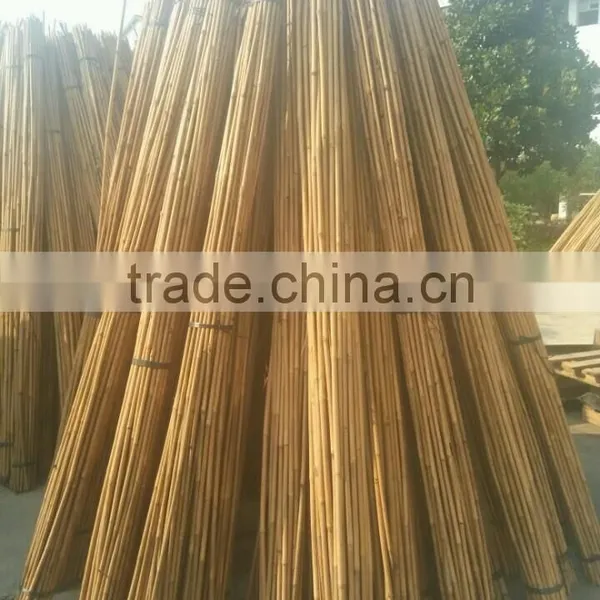 WY-221High quality bamboo poles bamboo canes bamboo stakes in raw materials for agriculture