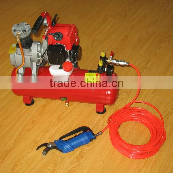 2 Stroke Gasoline Engnie Pneumatic Pruner (CY-30JA) photo-2