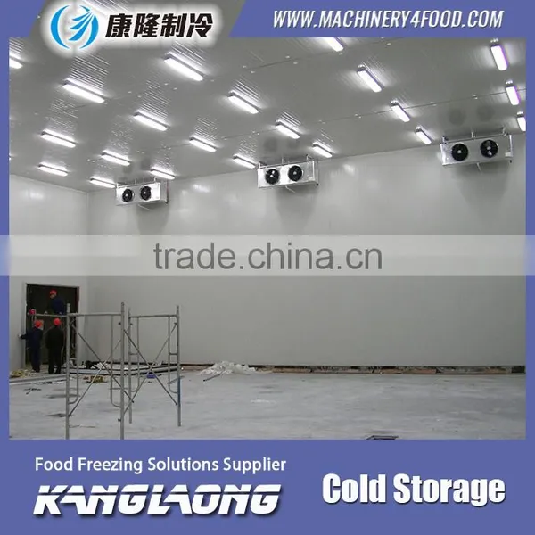 China Factory New Technology Refrigerator Freeze Temp photo-2