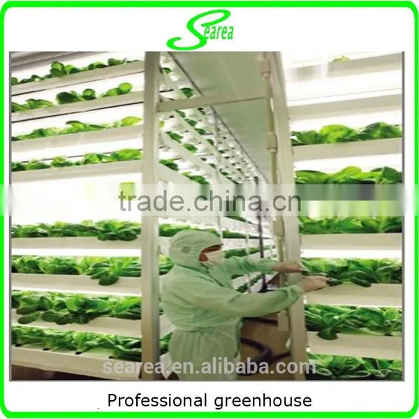High Qulity New Style Hydroponic System photo-5