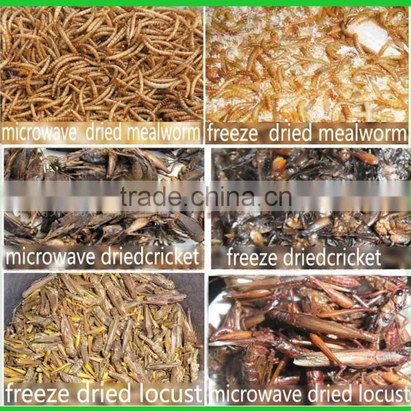First Grade Freeze Dried Mealworm for Sale, Pet Food Mealworm Turtle Food photo-3