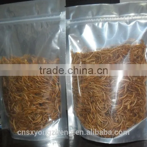 Good Quality Mealworms for Pet Birds ;Yongzheng Mealworms photo-3