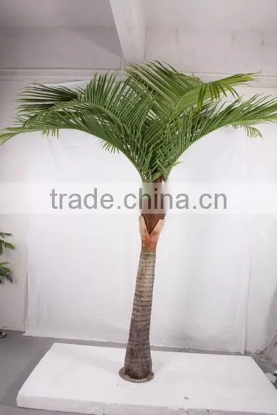 SJ2001205 Home Indoor Using Cocount Plam Tree Factory Outlet photo-4