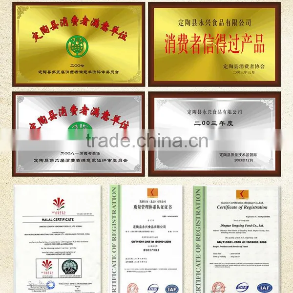 Bread Improver Included Sugar Tolerant Instant Dry Yeast photo-4