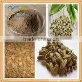 Datura Stramonium Extract photo-2