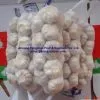 2011 Pure White Fresh Garlic photo-2