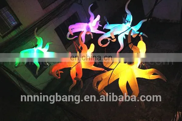 Decoration Inflatable Balloon for Party Decoration photo-4