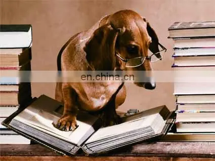 Fashion Promotion PET/PP Advertising Poster With 3d Effect photo-2