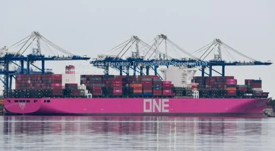 Shipping Containers From China Sehnzhen TO Rotterdam/Hamburg/antwerp
