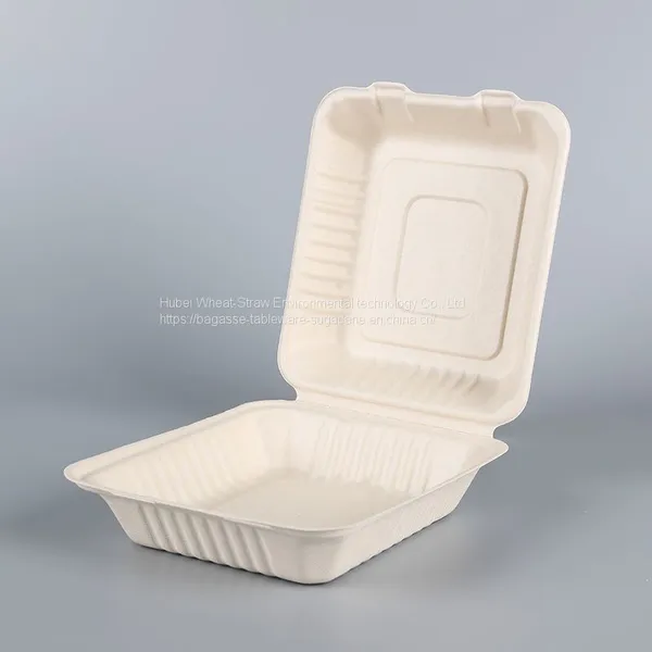 Biodegradable 8*8 Take Away Sugarcane Container photo-4