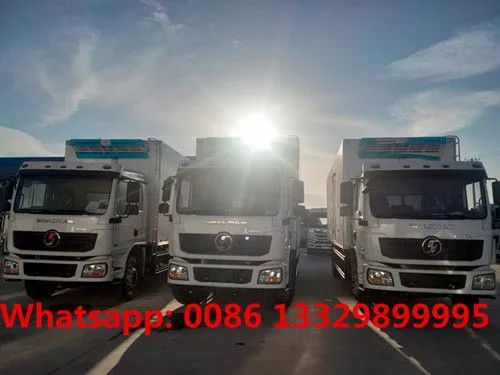 Factory Sale Best Price Euro 5 Diesel 10T-15T Refrigerated Truck Fidge Truck for Philippines for Sale photo-2