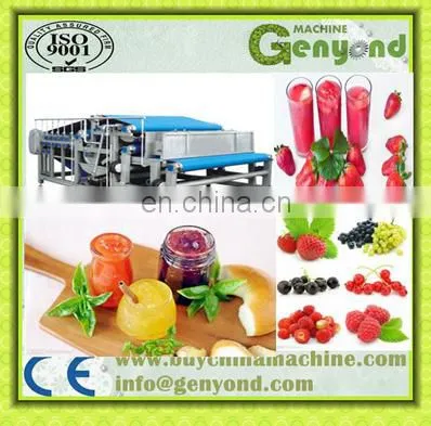 Industrial Cold Press Juicer/apple Juice Belt Press photo-2