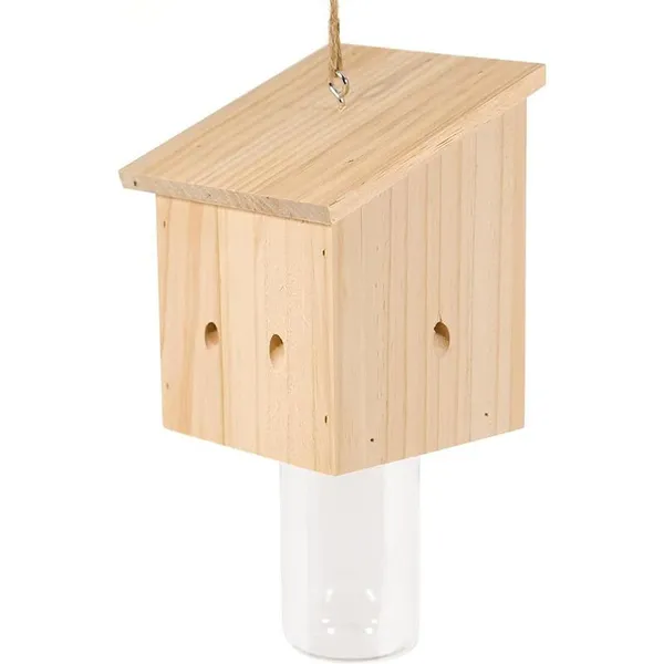 Insect Traps photo-3
