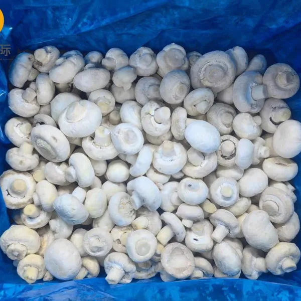 Premium IQF Frozen White Champginon Button Mushroom Cuts Whole Agaricus Bisporus for Wholesale photo-5