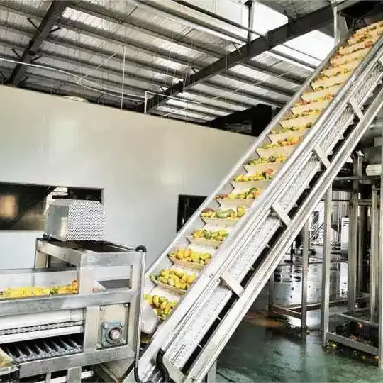 Mango Sweetsop Cherry Seed Remove Spinal Figs Juice Pulping Fruit Pulp Machine Fruit Coconut Pulp Process Line Orange Juicer photo-6