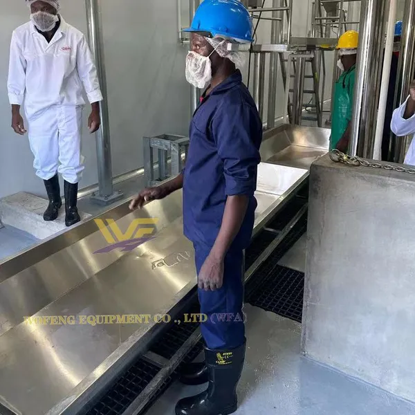Horizontal Sheep Carcass Splitting Saw Sheep Evisceration Table Complete Mutton Processing Machinery photo-2