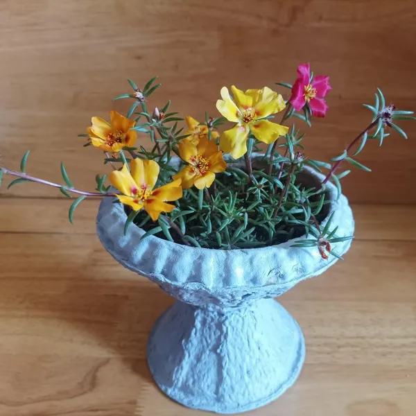 Recycled Paper Pulp Landscaping Pot With Reinforced Rim, Standard Compliant, for One-Season Annual Plants photo-3