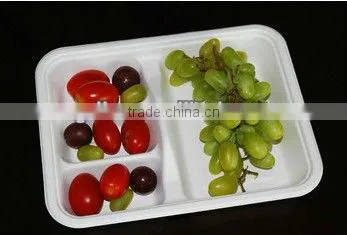 100% Biodegaradable Trays in Food Packaging
