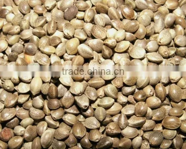 Hemp Seed Oil photo-4
