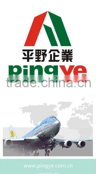 Parcel Package Express From Shantou Chaoyang Jieyang to Germany by Dpex/Toll Dpex photo-6