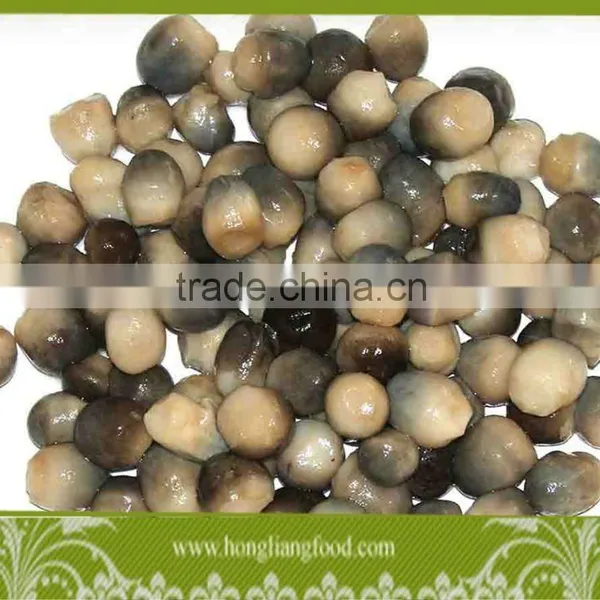 Canned Straw Mushroom