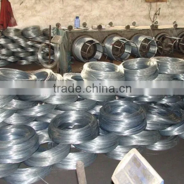 2016 Hot Sale Galvanized Iron Wire photo-2