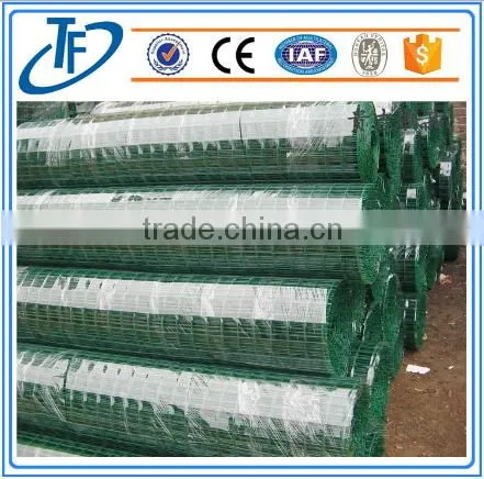 Plastic Coated Holland Wire Mesh photo-2
