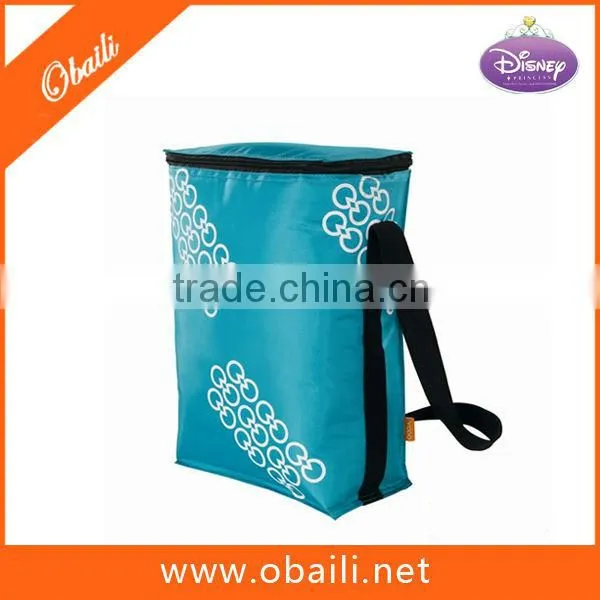Tall Insulated Cooler Bag, Outdoor Bag