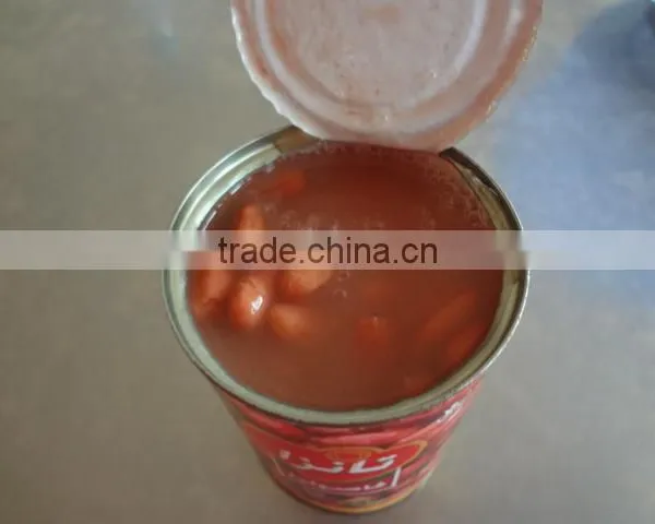 400/260 Canned Light/red Kidney Beans to Yemen photo-2