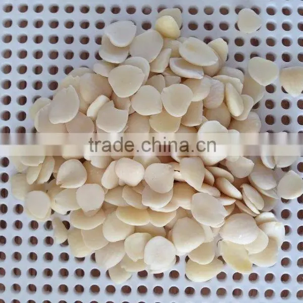 Blanched Apricot Kernels photo-5
