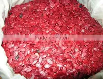 Supply Melon Seeds , Good Quality Red Watermelon Seeds Kernels for Sale photo-6