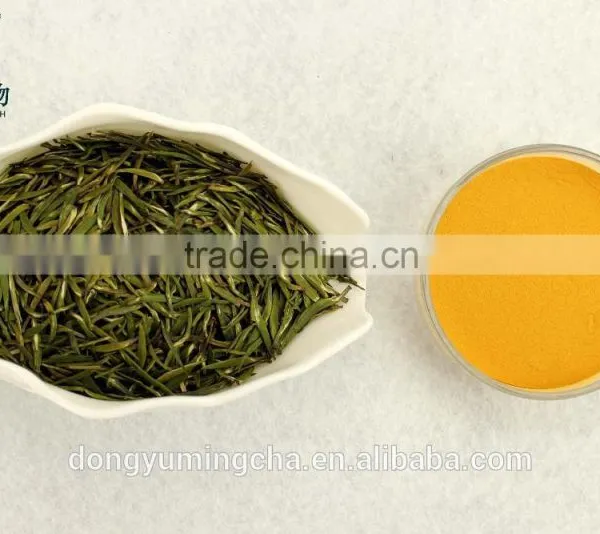 Green Tea Polyphenols 95% Catachine EGCG